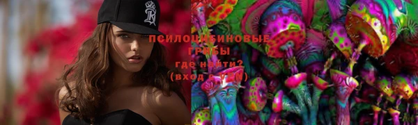 дживик Алзамай