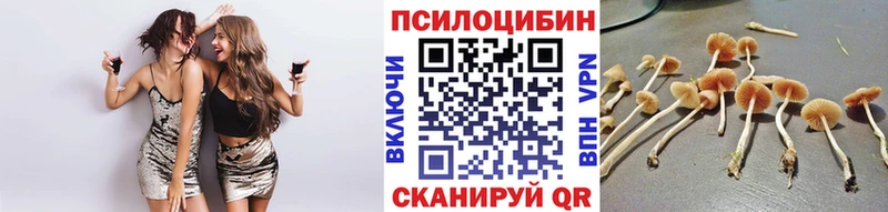 Псилоцибиновые грибы Psilocybe  Октябрьский 